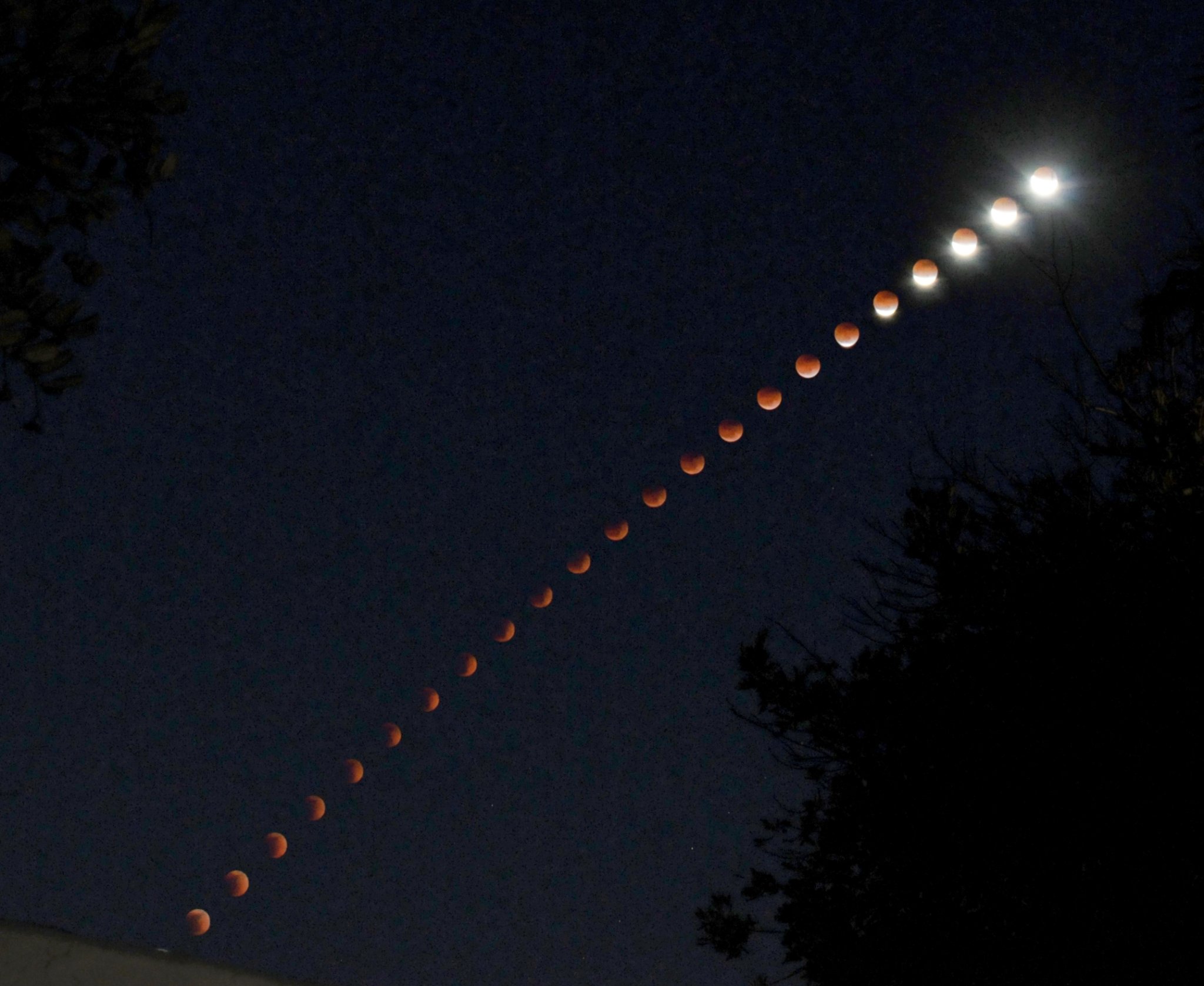 Lunar Eclipse Composite