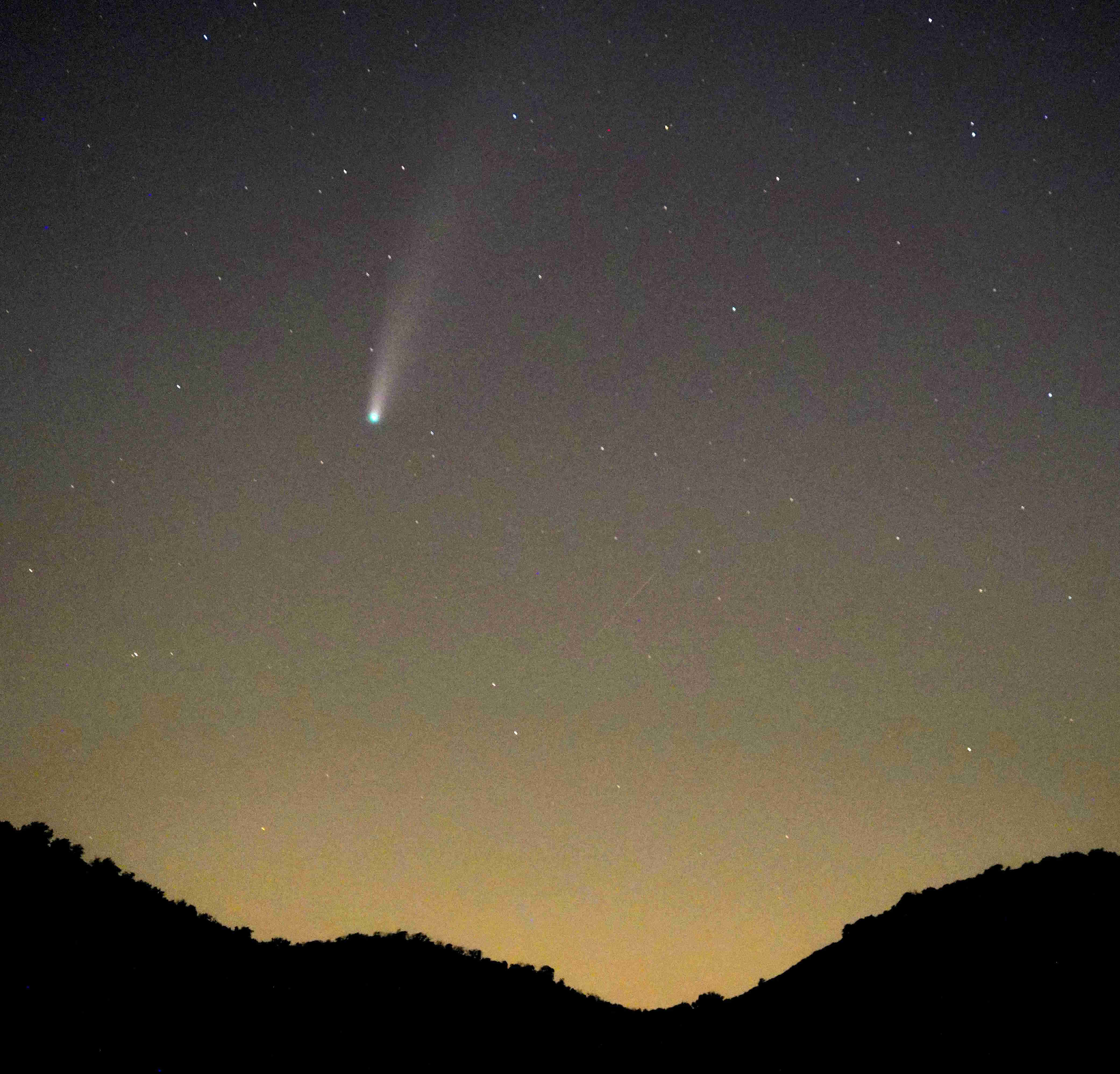 Neowise comet